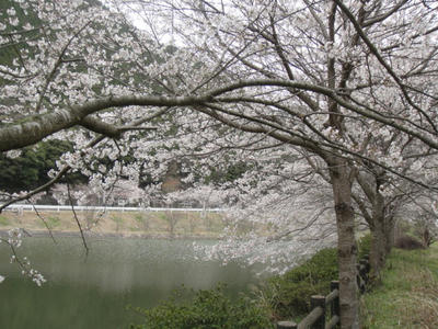 DSC00262.JPG