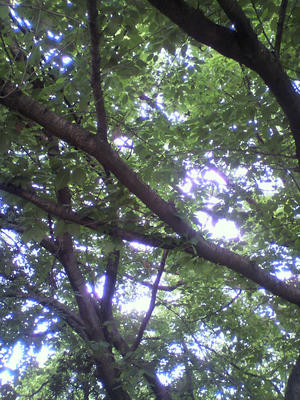 P1010113.jpg