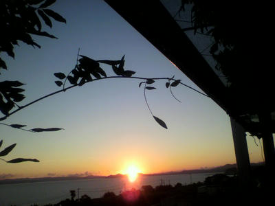 P1010138.jpg