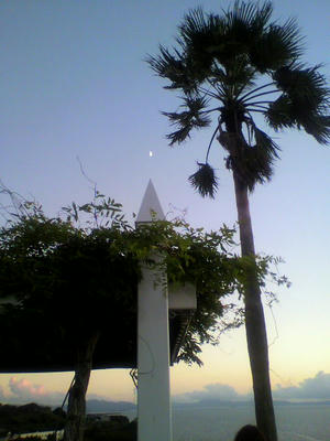 P1010142.jpg
