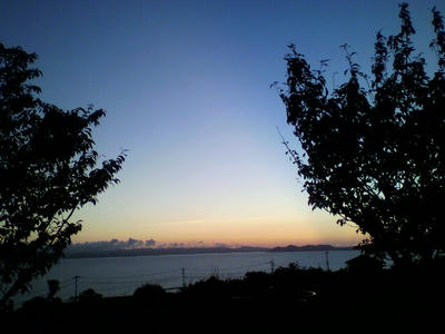 P1010147.jpg