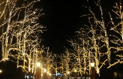 DSC00568.JPG