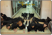 cc1efd82.gif