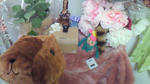 201103042156000.jpg