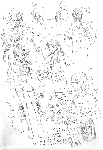 img_aidoluke.gif