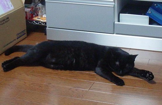 手がかわええ(*´д`*)