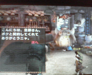 アイルー(*´д`*)