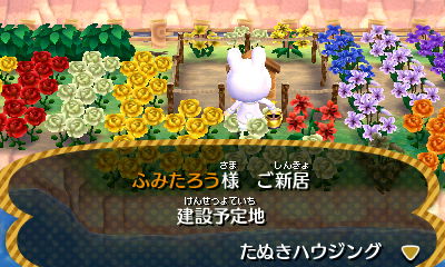 お花畑のど真ん中ですね＾＾＾