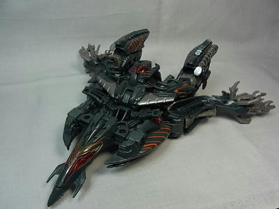 RIMG0046.JPG