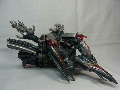 RIMG0045.JPG