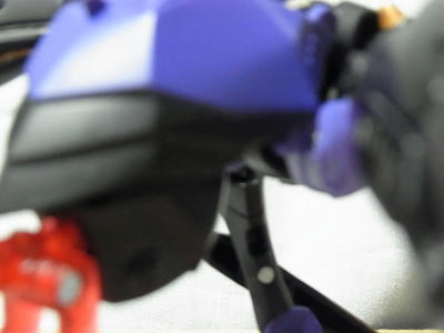 RIMG0402.JPG