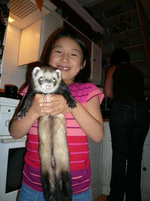 furet.JPG