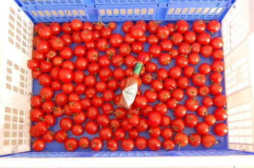 tomato.JPG
