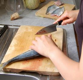 poisson1.JPG
