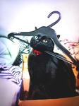 hanger.jpg