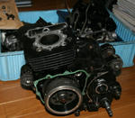 6178385f.JPG