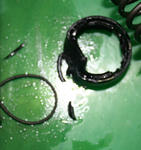 tzmoilseal.JPG