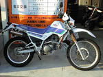 m1.JPG