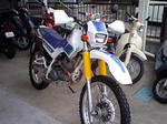 CA340067.jpg