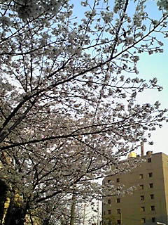 080403_1734~01.JPG