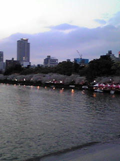 080404_1830~01.JPG