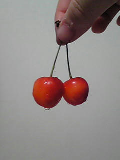 080628_2031~01.JPG