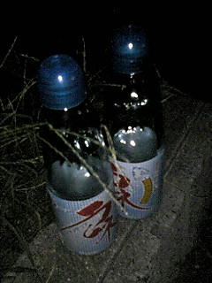 080801_2209~01.JPG