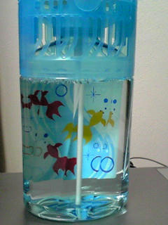 080812_1920~01.JPG