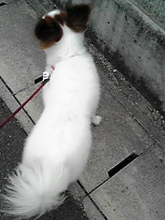080913_1621~01.JPG