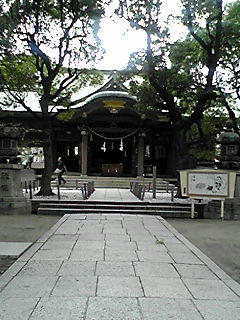 081012_1311~01.JPG
