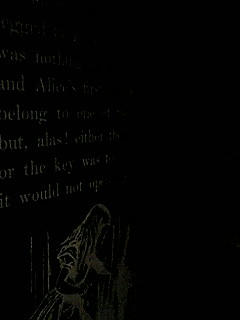 081018_1858~02.JPG