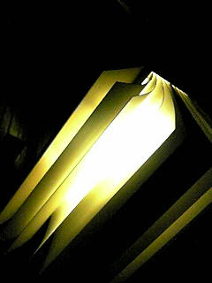 081018_2046~01.JPG