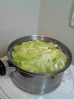 081109_1202~01.JPG