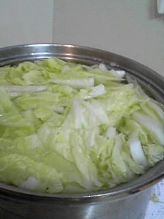081109_1202~02.JPG