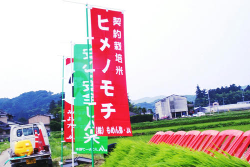 いざ出陣！田植えののぼり旗