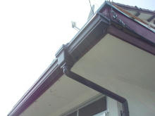 t02200165_0800060010619950165.jpg