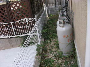 57dd4573.jpeg