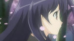 snapshot20071012002754.jpg
