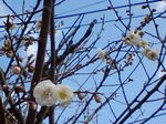 42f4b60e.jpg