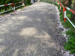 dfd25459.jpg