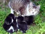 a7cbb224.jpg