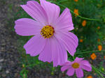 02539bca.jpg