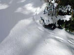7822424_550954357s.jpg
