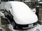 c83eb812.jpg