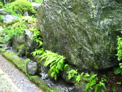 岩の水