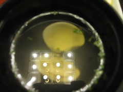 熊本県 天草 下田温泉 ジャルディン・望洋閣 夕食9