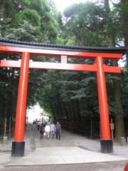 鹿児島県　霧島神宮1