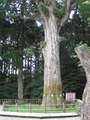 鹿児島県　霧島神宮4