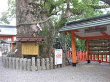 南紀　２日目　熊野那智大社