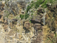 南紀　３日目　白浜泉都めぐり　三段壁